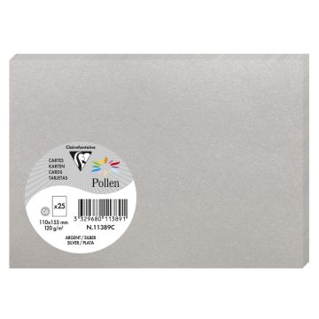Photo POLLEN Carte Argent 110 x 155 mm C6 11389C Clairefontaine