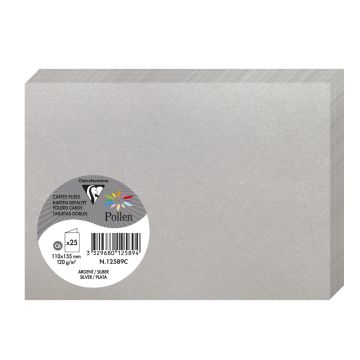 Photo Cartes double en papier - 110 x 155 mm C6 - Argent : CLAIREFONTAINE Pollen