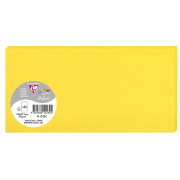 Photo POLLEN Carte DL Jaune soleil 106 x 213 mm 1523C Clairefontaine