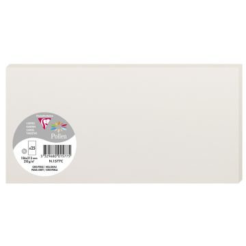 Photo POLLEN Carte DL Gris perle 106 x 213 mm 1577C Clairefontaine