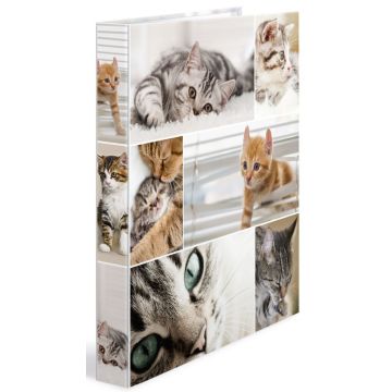 Classeur à 4 anneaux - Dos de 35 mm - Chats HERMA Image