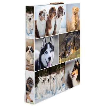 Classeur à 2 anneaux - Dos de 35 mm - Chiens HERMA