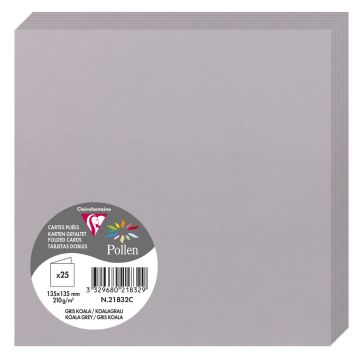 Photo Cartes double en papier - 135 x 135 mm - Gris Koala CLAIREFONTAINE Pollen Lot de 25