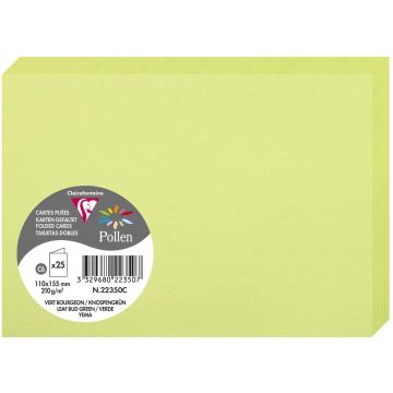 Photo Cartes double en papier - 110 x 155 mm C6 - Vert bourgeon - CLAIREFONTAINE Pollen