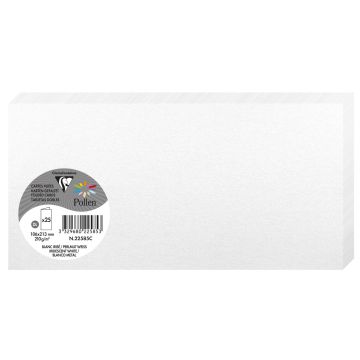 Photo POLLEN : Carte double de papier - Format DL - Blanc irisé 22585C