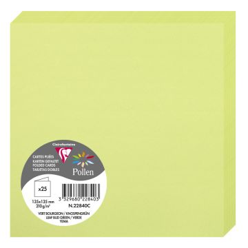 Photo Cartes double en papier - 135 x 135 mm - Vert Bourgeon CLAIREFONTAINE Pollen Lot de 25