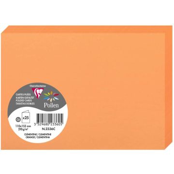 Photo Cartes double en papier - 110 x 155 mm C6 - Clémentine - CLAIREFONTAINE Pollen 