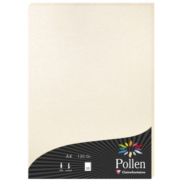 Photo Feuille de couleur Ivoire irisé  210 x 297 mm A4 POLLEN 24303C