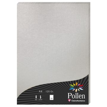 Photo Feuille de couleur Argent 210 x 297 mm A4 POLLEN 4199C