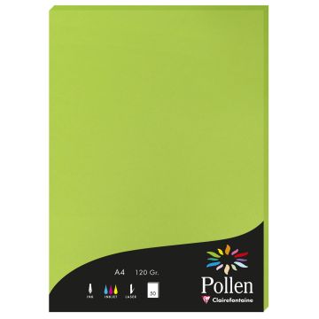 Photo Feuille de couleur Vert menthe 210 x 297 mm A4 POLLEN 4215C