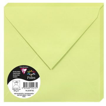 Photo POLLEN : Lot de 20 Enveloppes - 165 x 165 mm - Vert bourgeon