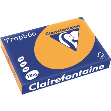 Ramette de papier de 250 feuilles A4 120g - Clémentine : CLAIREFONTAINE Trophée Photo