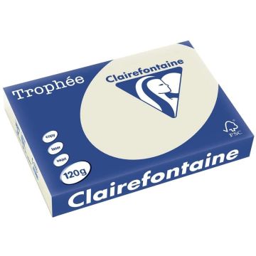 Ramette de papier de 250 feuilles A4 120g - Gris Perle : CLAIREFONTAINE Trophée Visuel