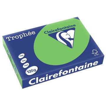 Ramette de papier de 250 feuilles A4 120g - Vert Menthe : CLAIREFONTAINE Trophée Visuel