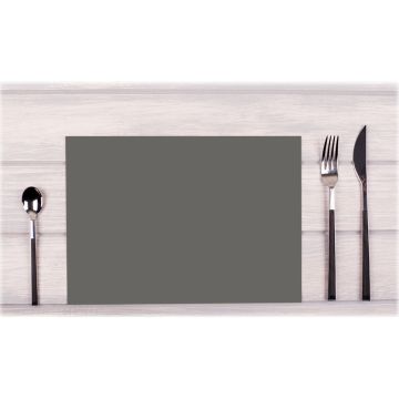 Lot de 100 Sets de Table non tissés - Taupe COGIR Image