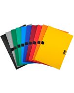 EXACOMPTA Chemises avec rabat à sangle Assortiment  30100H