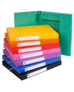 EXACOMPTA : Lot de 25 boîtes de classement 18500H  - Dos 25 mm - Assortiment 
