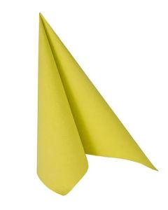 Photo Lot de 50 Serviettes Vert anis - 400 x 400 mm Royal Collection PAP STAR