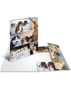 Chemise à rabats - Motif Chiens et Chiots - A4 : HERMA Image