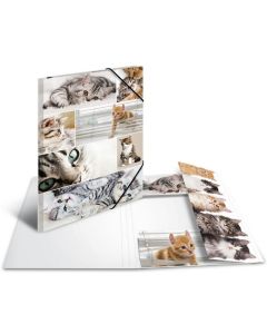 Chemise à rabats A3 - Motifs Chats HERMA