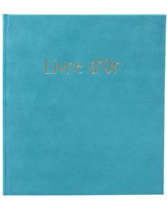 Livre d'or - 270 x 220 mm - 100 pages - Gris : EXACOMPTA Ellipse image