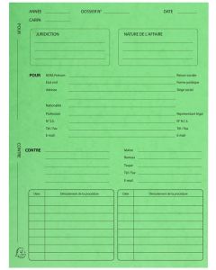 Dossier de Procédure Avocat Chemises - Vert EXACOMPTA modèle