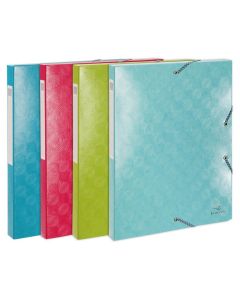 Boîte de classement - Dos 25 mm - Assortiment EXACOMPTA 1928