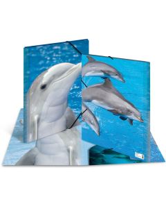 Chemise à rabats - A3 Dauphin : HERMA image