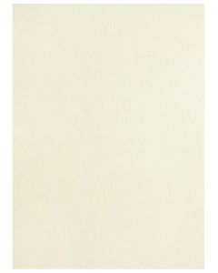 Photo Plat de couverture pour reliure A4 - Carton Grain Cuir - Blanc mat PAVO 8011100