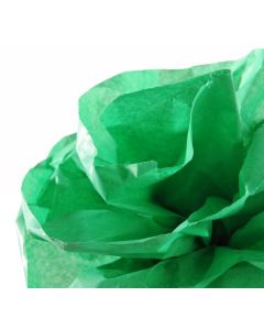 Papier de Soie - Vert Franc - 500 mm x 5 m : CANSON Image
