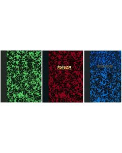 Couleurs Echéancier mensuel - Registre marbré - 297 x 210 mm ELVE