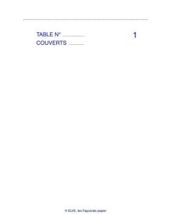 Bloc MAITRE D'HOTEL Autocopiant Dupli 165 x 85 mm Restaurant ELVE 2202 modèle