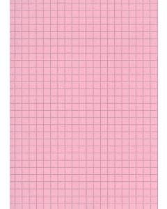 Fiches bristol A6 - 105 x 148 mm - Rose quadrillé B-10513R ELVE Lot de 100 rose