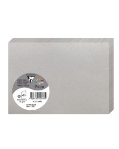 Photo Cartes double en papier - 110 x 155 mm C6 - Argent : CLAIREFONTAINE Pollen