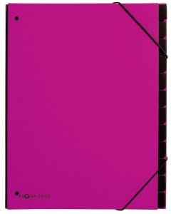 Photo 24129-34  Pagna : Trieur à soufflets 12 compartiments - Rose foncé