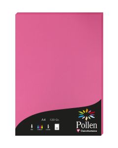 Photo Feuille de couleur Rose fuchsia 210 x 297 mm A4 POLLEN 4221C