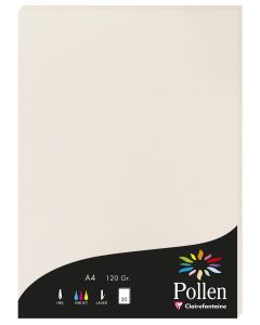 Photo Feuille de couleur Gris perle 210 x 297 mm A4 POLLEN 4268C