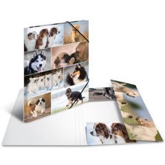 Chemise à rabats A3 - Motifs Chiens HERMA