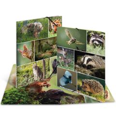 Chemise à élastiques A4 - Motif Animaux de la forêt : HERMA image