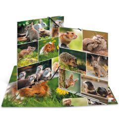 Chemise à élastiques A4 - Motif Rongeurs : HERMA image