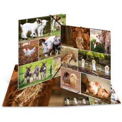 Chemise à élastiques A4 - Motif Animaux de ferme : HERMA Monde animal image