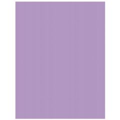 Carton de Bricolage A4 - Violet - 300 g/m² : FOLIA Lot de 50 Visuel