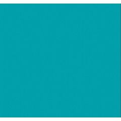 Carton de Bricolage A4 - Turquoise - 300 g/m² : FOLIA Lot de 50 Visuel