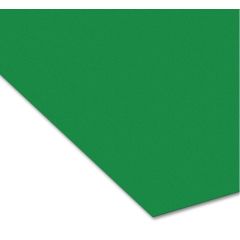 Carton de Bricolage 500 x 700 mm - Vert Mousse - 300 g/m² : FOLIA Lot de 10 image