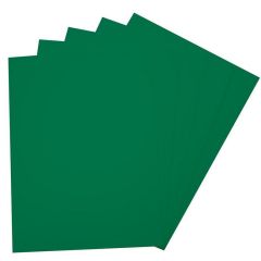 Carton de Bricolage 700 x 1000 mm - Vert Sapin - 300 g/m² FOLIA Lot de 10