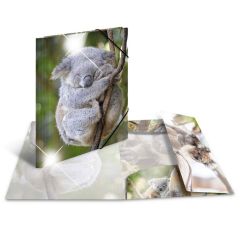 Photo Chemise à élastique A4 - Motif Koala HERMA image