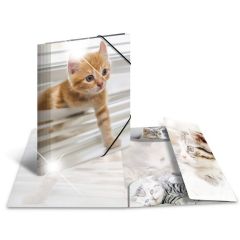 Photo Chemise à élastiques A4 - Motif Chats - HERMA Glossy image