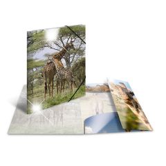 Photo Chemise à élastique A3 - Motif Girafe HERMA image