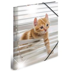 Photo Chemise à élastique A3 - Motif Chats HERMA image