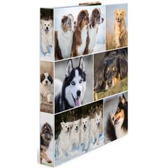 Classeur à 4 anneaux - Dos de 35 mm - Chiens HERMA Image